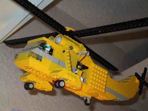 seaking6.jpg