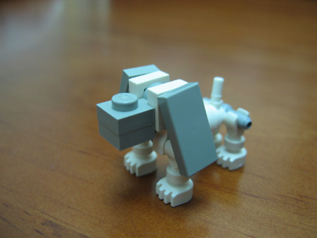 6548.jpg
