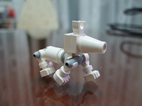 7163.jpg