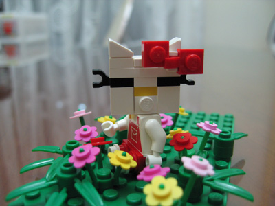 3621.jpg