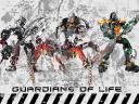 guardians-of-life.jpg