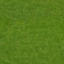 grass.bmp
