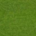 grass.bmp