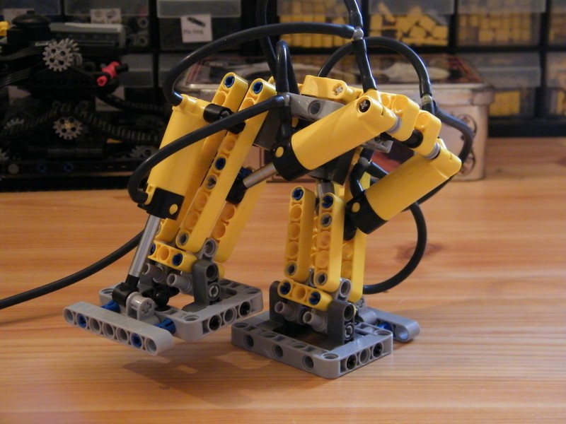 dscf6876.jpg