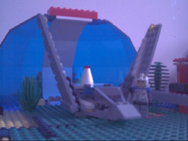 wingsup.jpg