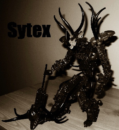 sytex3.jpg