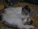 dscn4484.jpg