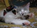 dscn4485.jpg