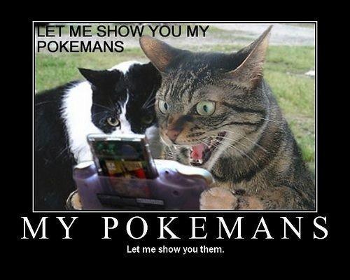 my_pokemans.jpg