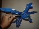 dsc00855.jpg