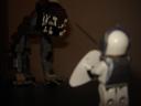 dsc00833.jpg