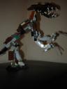 dsc00841.jpg