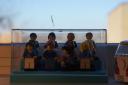 dsc01274.jpg