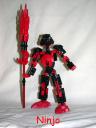 ninjo.jpg