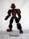 pohuaki.jpg