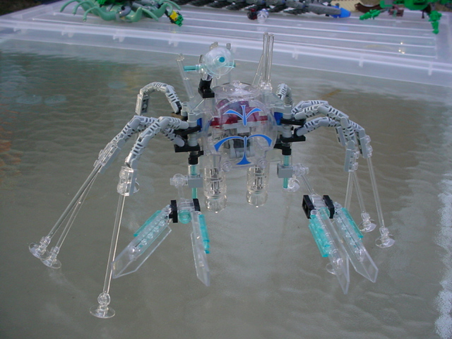 clearcrab.jpg