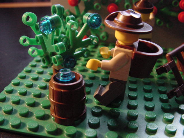 dsc02774.jpg