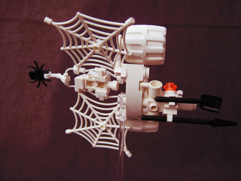 cr_spider_04.jpg