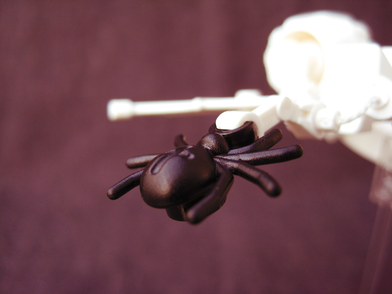 cr_spider_07.jpg