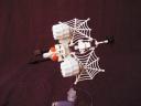 cr_spider_02.jpg