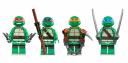 turtles.jpg