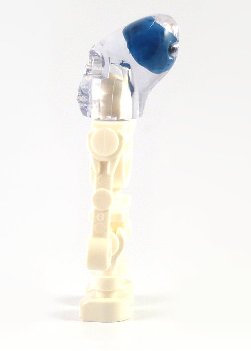 akator-skeleton-b.jpg