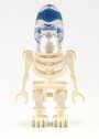 akator-skeleton-a.jpg