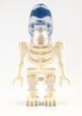 akator-skeleton-a.jpg