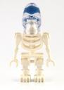 akator-skeleton-a.jpg