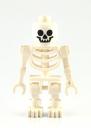 skeleton-1.jpg