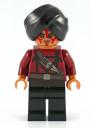 temple-guard-1a.jpg