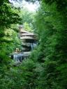 fallingwater01.jpg