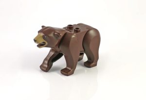 bear01.jpg