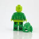 figs08.jpg