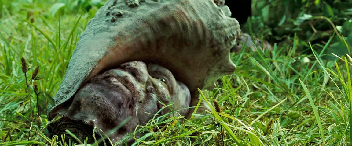 movie13.jpg