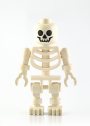 skeleton-1.jpg