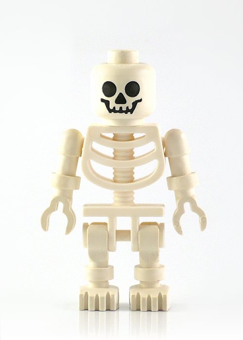 skeleton-1.jpg