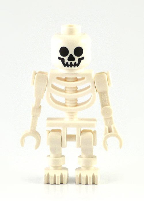 skeleton-1.jpg
