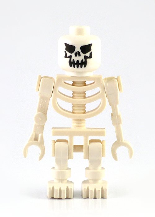 skeleton-2.jpg