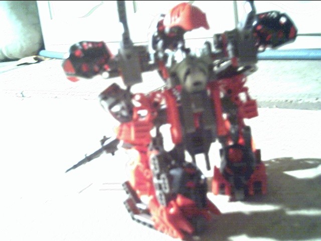 back.jpg
