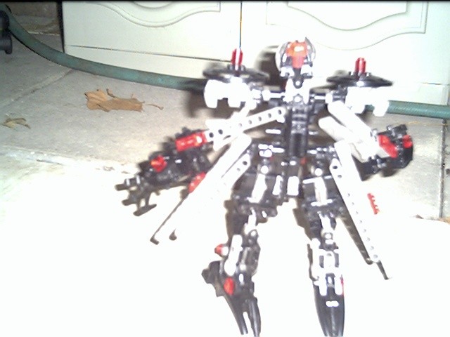 kagemushatdback.jpg