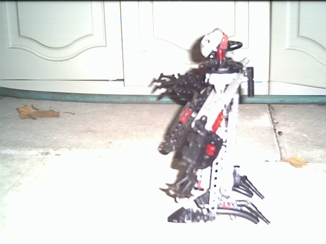 kagemushatdside2.jpg