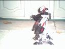 kagemushatdside2.jpg