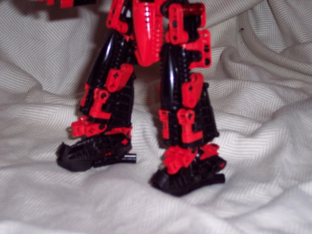 toa_ausar004.jpg