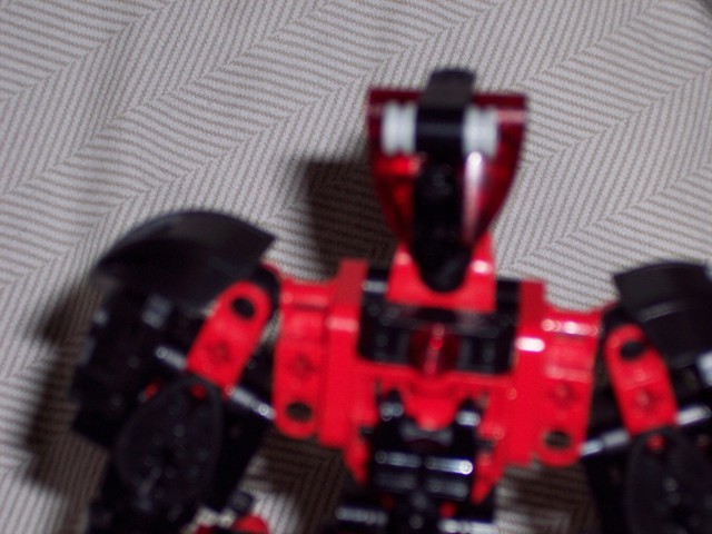 toa_ausar006.jpg