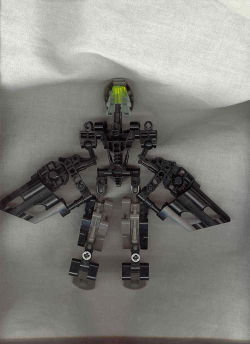 hoariback.jpg