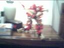 jan01174.jpg
