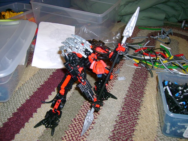 rayg_001.jpg