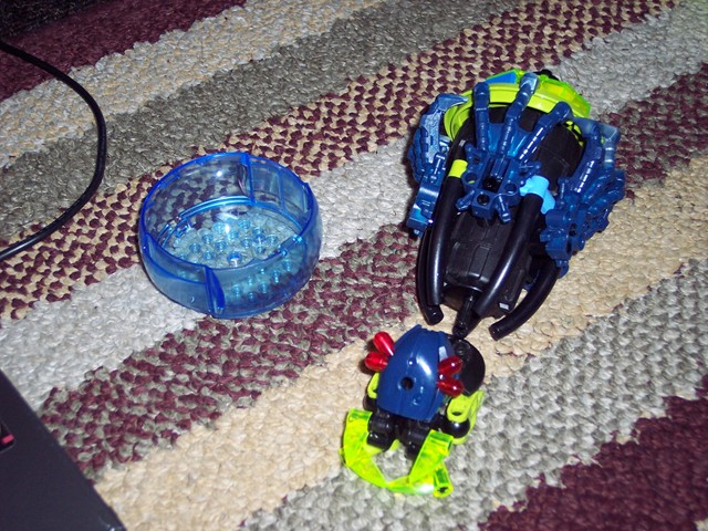 spidwip2.jpg