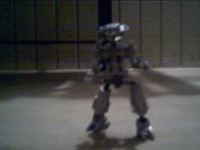 protova.jpg
